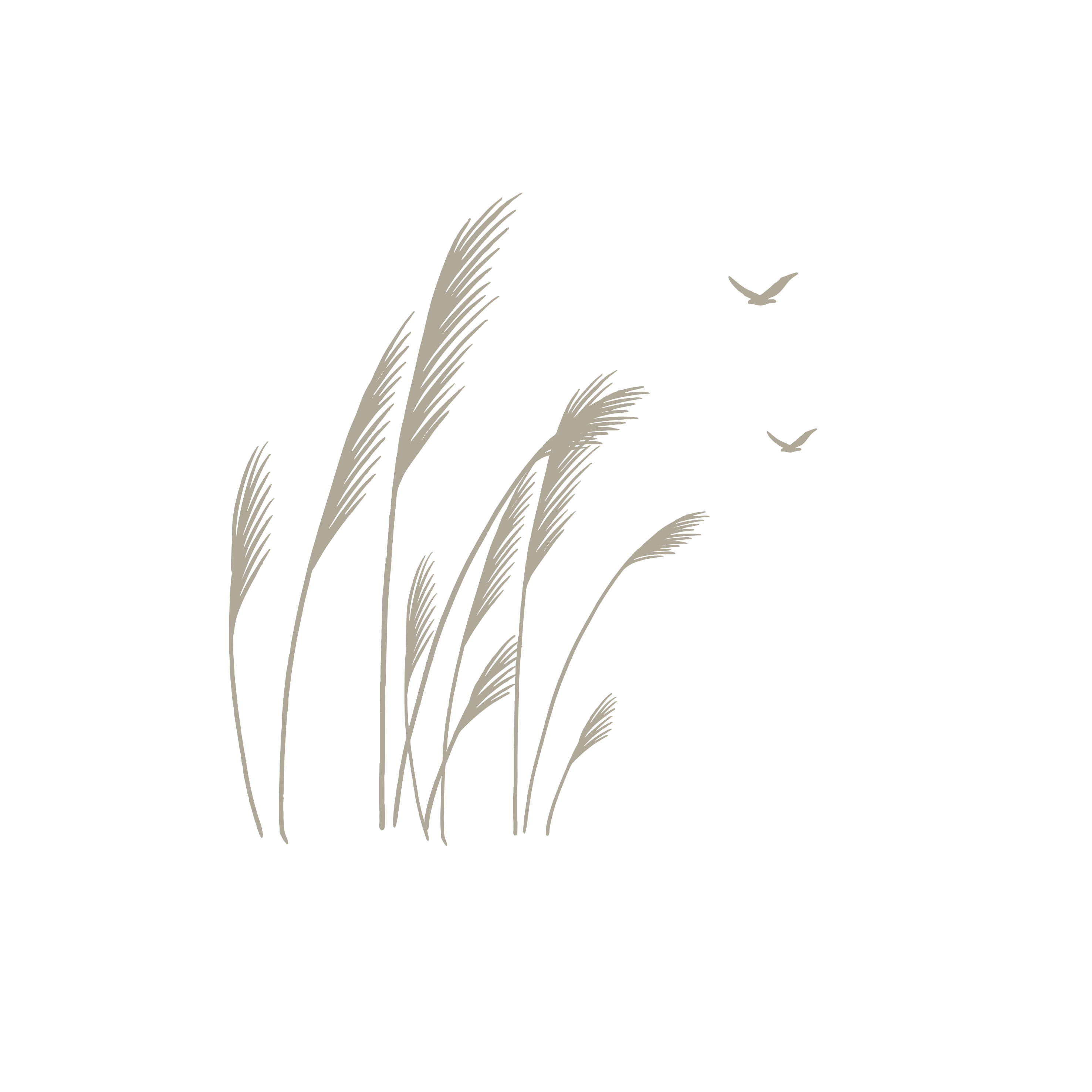 Reeds